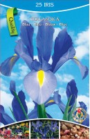 KN Iris Hollandica Blue (25 bulbs)